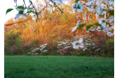 Clarksville Parks Department