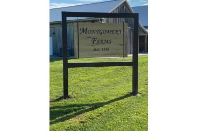 montgomery 1