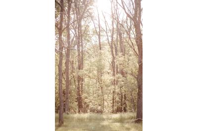 Serene setting