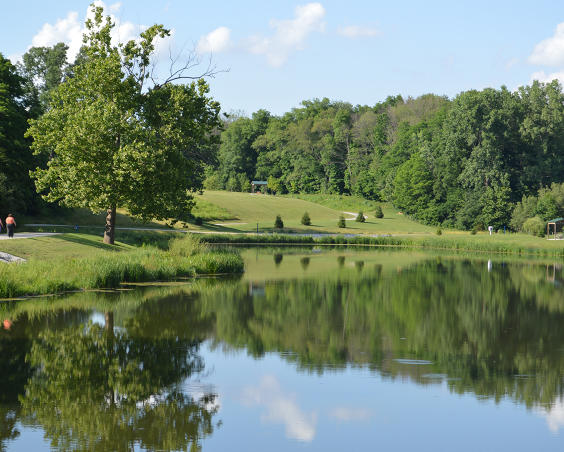 Avon Town Hall Park -  Pond