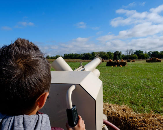 Beasley's Orchard | Apple Cannon