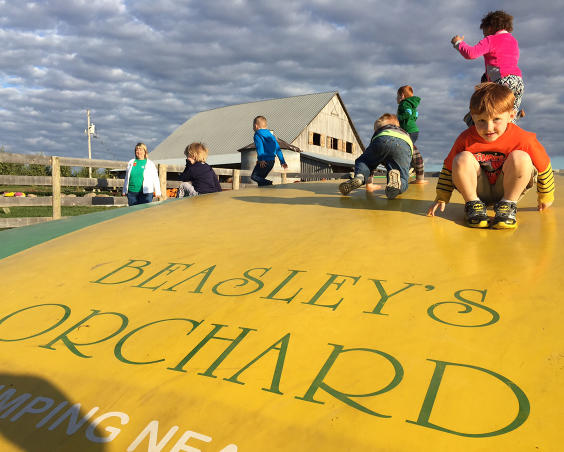 Beasley's Orchard - Kids Play Area