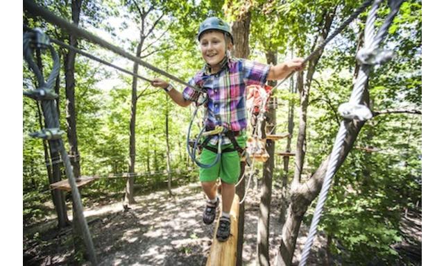 Treetop✳︎ Treetop Trekking Experience | Climb, Zip, Soar Above It All!