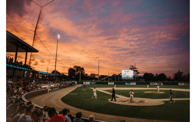Lafayette Aviators