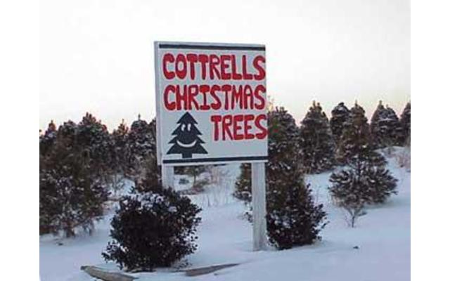 Cottrell's Christmas Tree Farm
