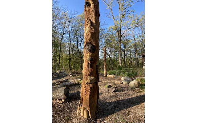 Clegg Memorial Gardens Wooden Sculptures