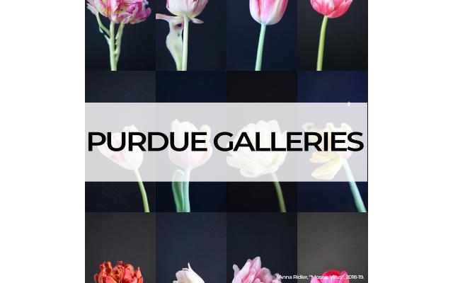 Purdue University Galleries