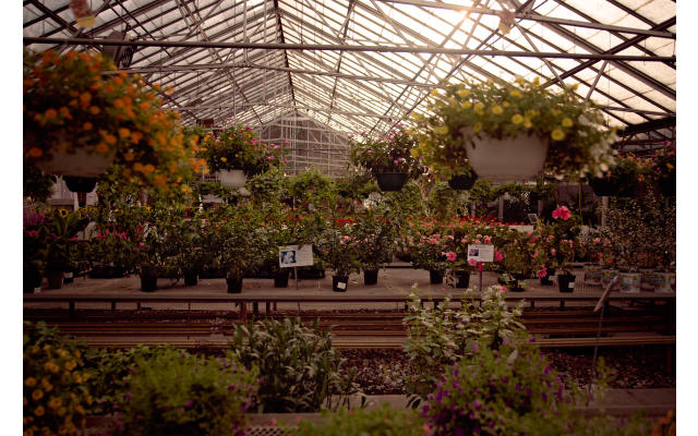 Bennett's Greenhouse
