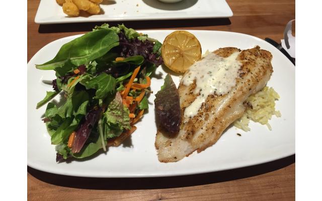 Cheddar's Casual Café