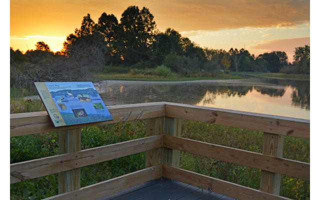 Celery Bog and Lilly Nature Center
