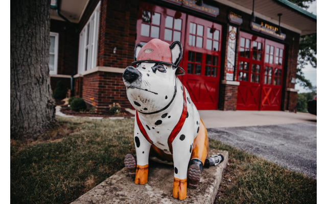 Sporky the Firehouse Hog