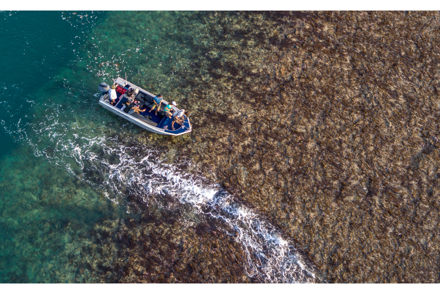 Aerial view of a Kimberley expedition cruise excursion to Montgomery Reef, showing the reef and crystal clear waters