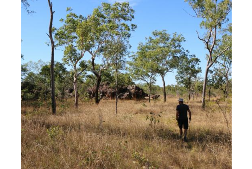Mitchell Plateau
