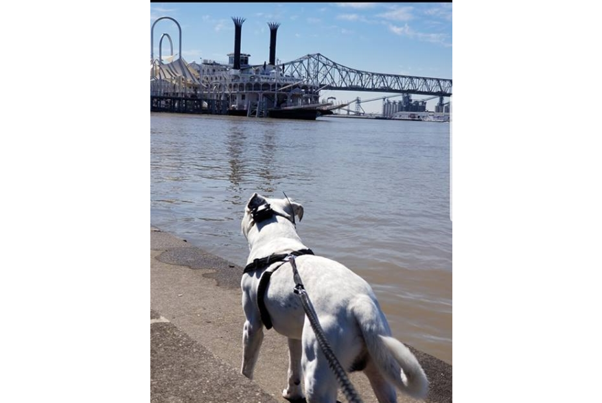Ghost on the Baton Rouge Riverfront