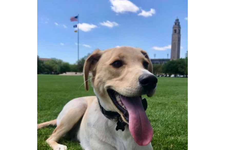 LSU Parade Ground Koda Square