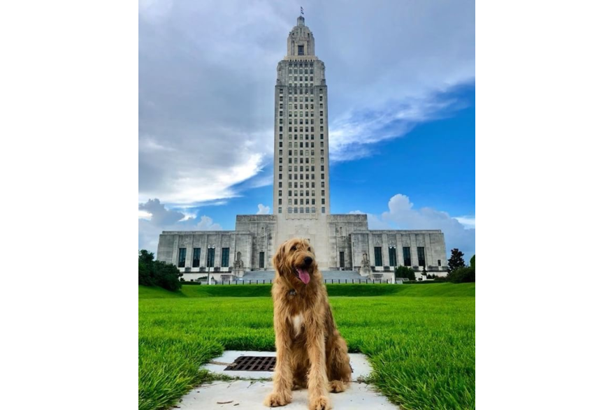 State Capitol Dog-Friendly