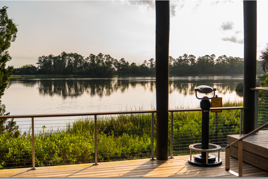 Widgeon Point Preserve