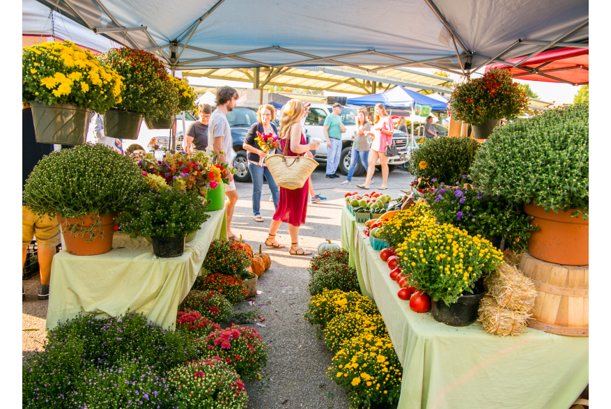 farmers market bloomington