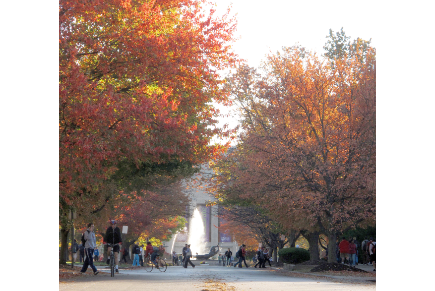 Showalter Fountain in Fall
