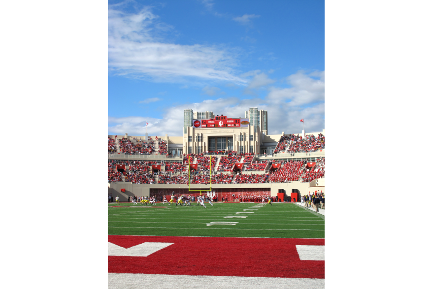 View from the field