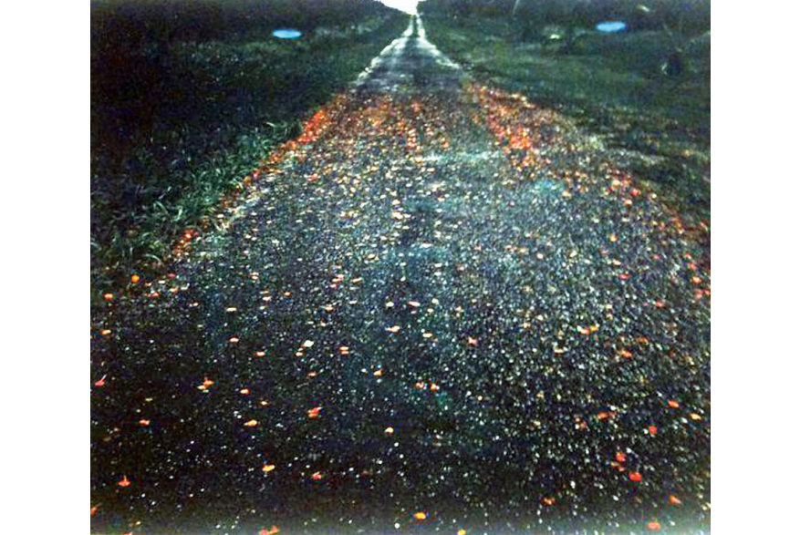 permanent art collection