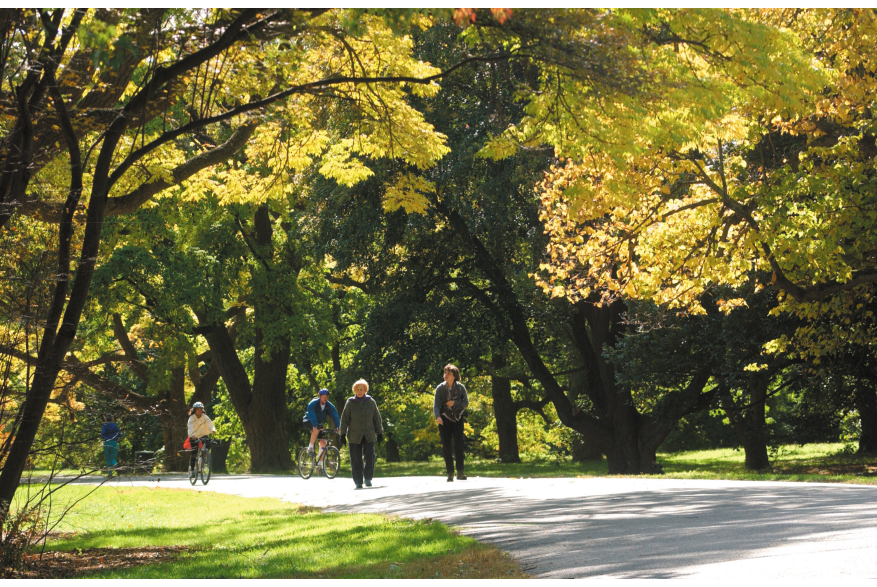 Arnold Arboretum