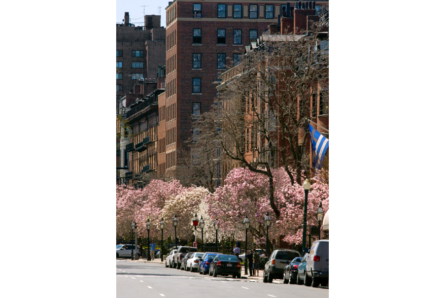 Beacon Street in the Spring