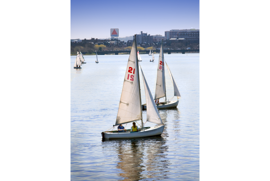 sail boats on the charles 0762 2-2