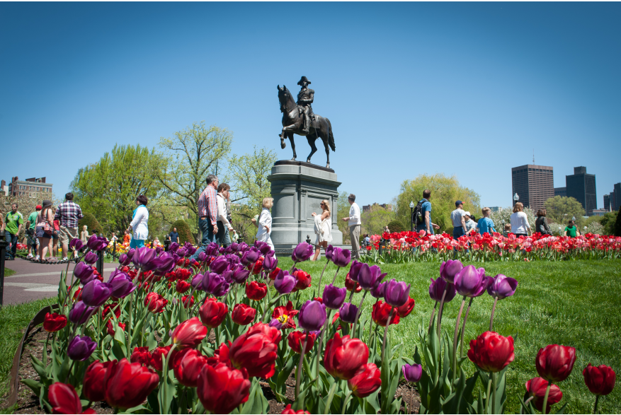The George Washington Statue in springtime