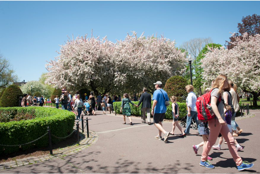 Visitors enjoy the Boston Public Garden