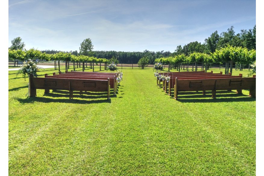 Photo courtesy of Silver Coast Winery