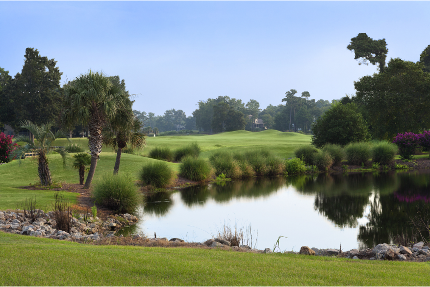 Photo Courtesy of Sea Trail Resort Rees Jones Course