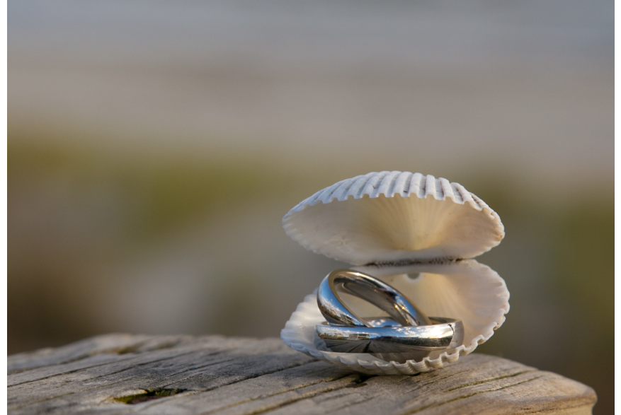 nc-beach-wedding-details-wedding-bands