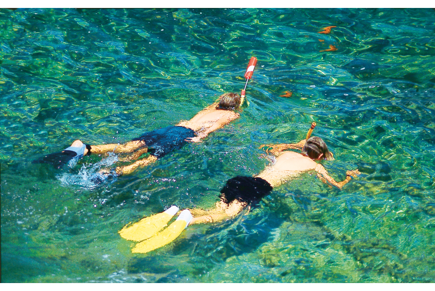 Catalina Island Snorkeling