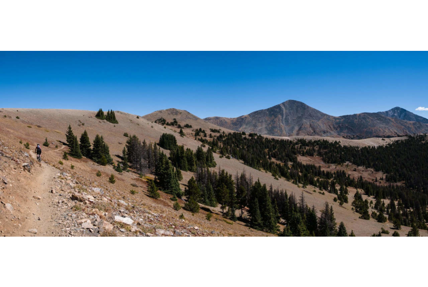 Monarch Crest Trail: Out and Back