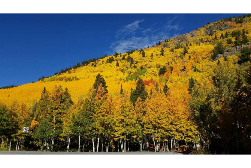 Monarch Pass Summit Fall Colors