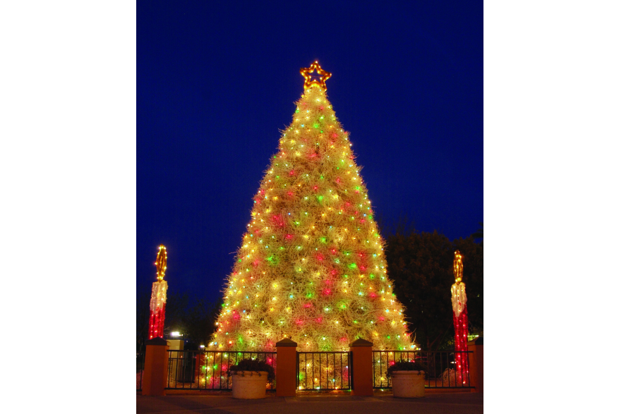 Tumbleweed Tree at Night