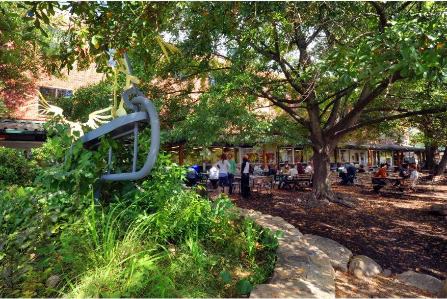 Gathering on Weaver Street Market Lawn.JPG
