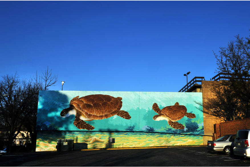 Sea Turtles mural by Michael Brown.JPG