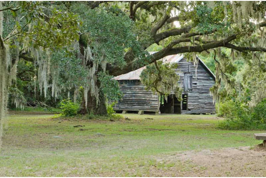 McLeod Plantation