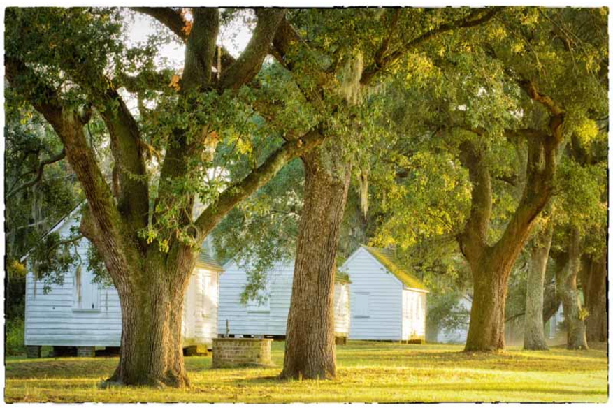 McLeod Plantation