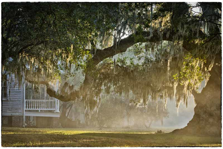 McLeod Plantation