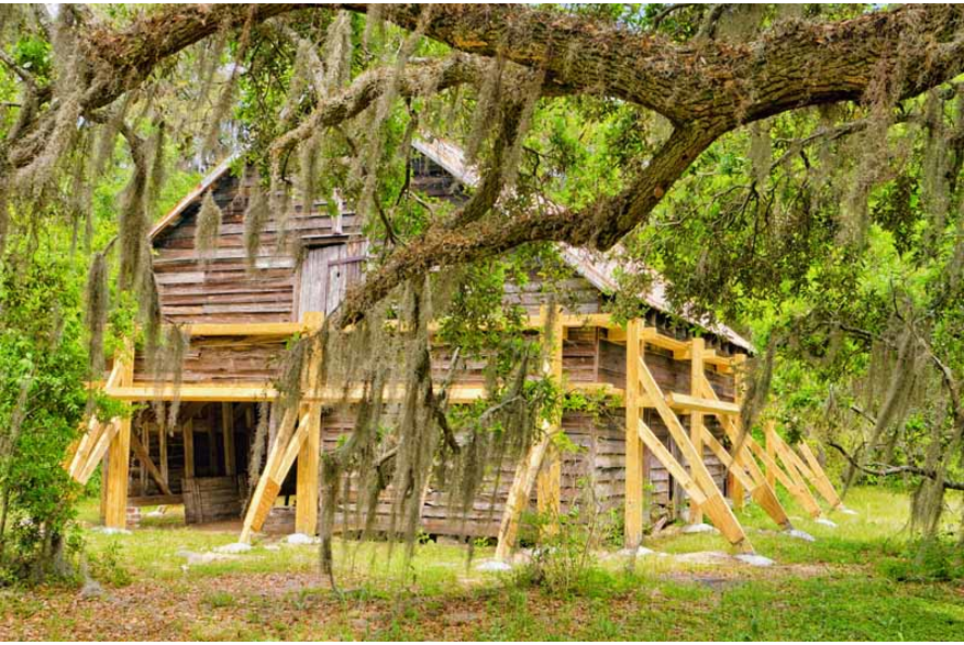 McLeod Plantation