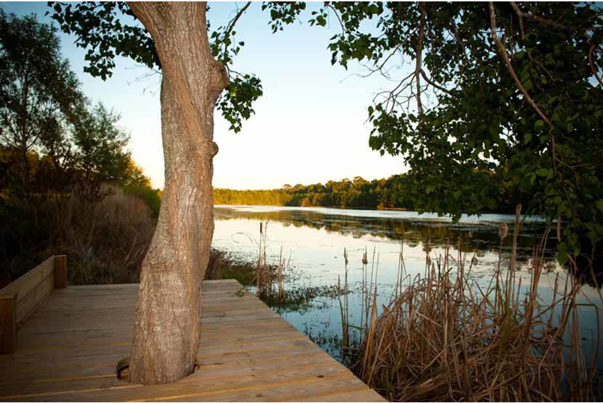 The Lake House at Bulow