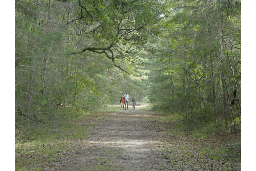 Ravenel Caw Caw Interpretive Center