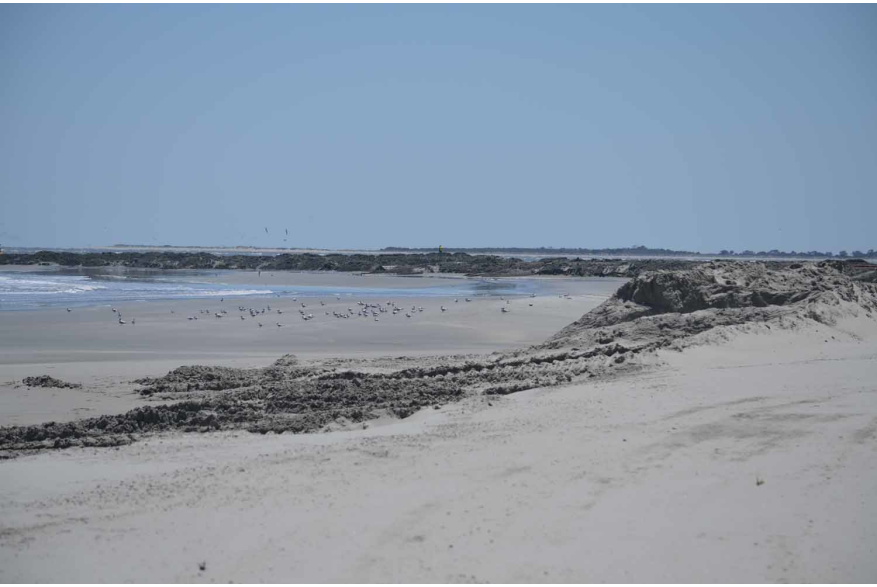 May 14 Folly Beach County Park Shore Stabilization