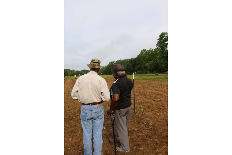 Looking over the crop after planting