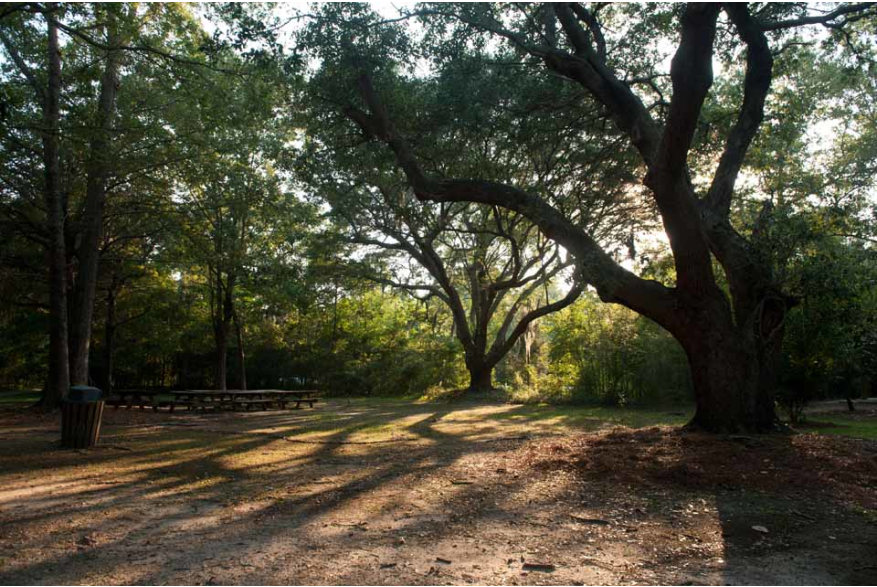 Edisto Hall at James Island County Park