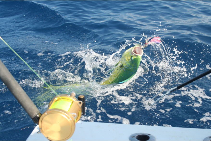 2013 CTFT Photo Contest: First Place