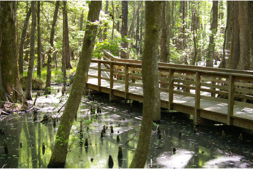 Ravenel Caw Caw Interpretive Center